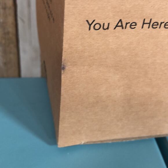 Set of 2 Starbucks Disney Parks YOU ARE HERE Collection - Magic Kingdom & EPCOT - Picture 6 of 11